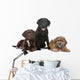 Three Puppies Two Labradors Wall Decal