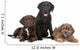 Three Puppies Two Labradors Wall Decal