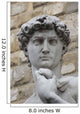 Head Famous David Michelangelo