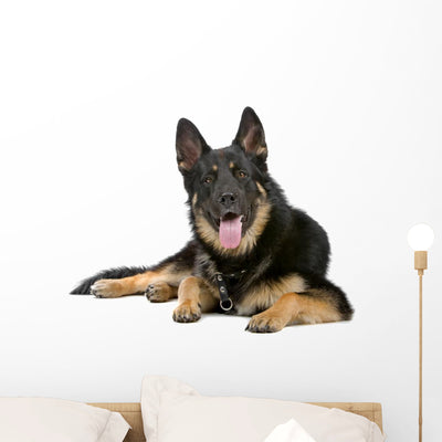 German Shepherd Dog Sticking Wall Decal shown on a wall