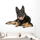 German Shepherd Dog Sticking Out Tongue Wall Decal