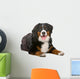 Resting Bernese Mountain Dog Wall Decal