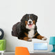 Resting Bernese Mountain Dog Wall Decal