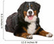Resting Bernese Mountain Dog Wall Decal