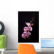 Pink Orchid Wall Mural