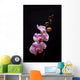 Pink Orchid Wall Mural