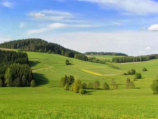M Hlviertler Landscape Wall Decal