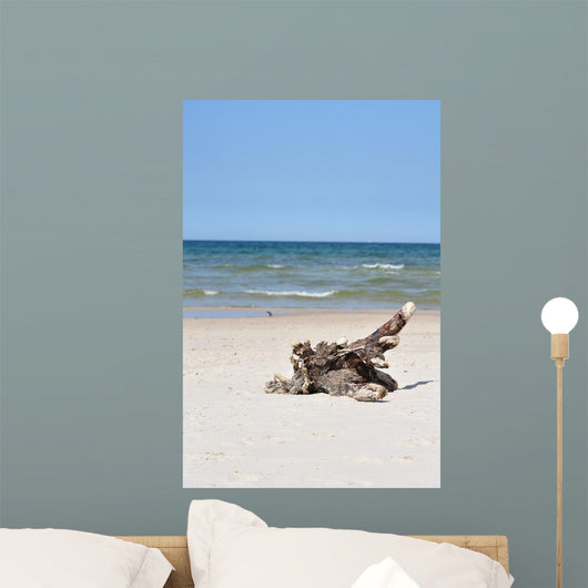 idyllic wild beach Wall Mural
