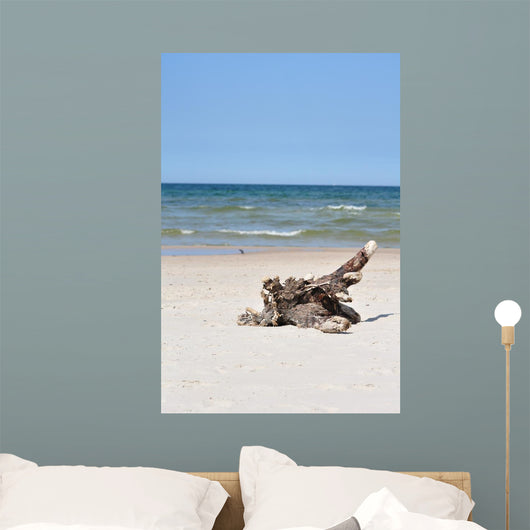 idyllic wild beach Wall Mural