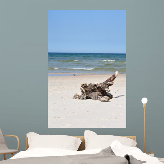 idyllic wild beach Wall Mural