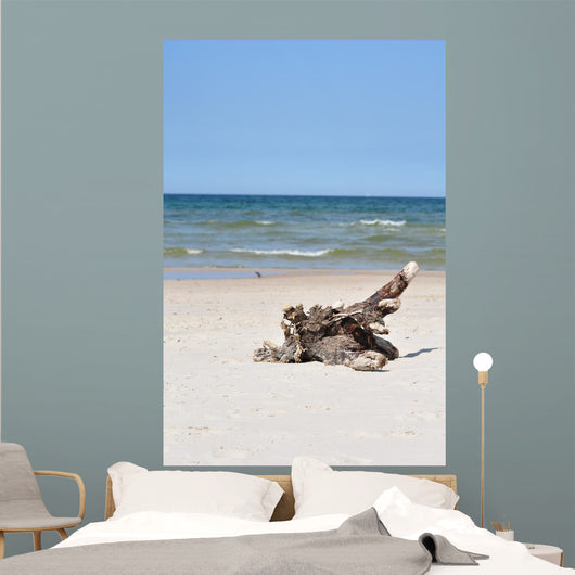 idyllic wild beach Wall Mural