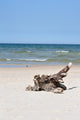 idyllic wild beach Wall Mural