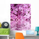 beautiful lilac above the water Wall Mural
