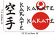 karate Wall Decal