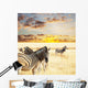 Zebras Wall Mural
