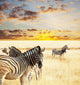 Zebras Wall Mural