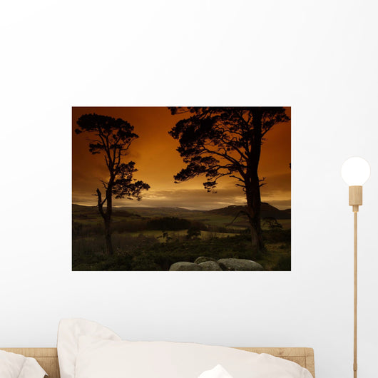 Light up My Life Wall Decal
