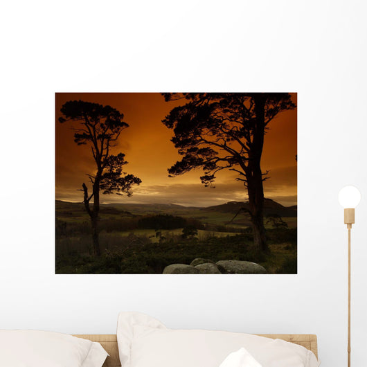 Light up My Life Wall Decal