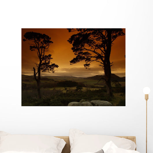 Light up My Life Wall Decal