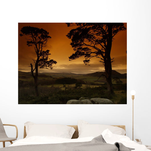 Light up My Life Wall Decal