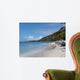 deserted beach on virgin gorda, bvi Wall Mural