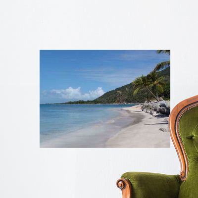 Deserted Beach Virgin Gorda Wall Mural shown on a wall