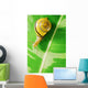 Snail Wall Mural