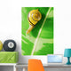 Snail Wall Mural