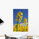 Rapsbl Ten Rapsfeld Wall Decal