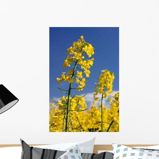 Rapsbl Ten Rapsfeld Wall Decal