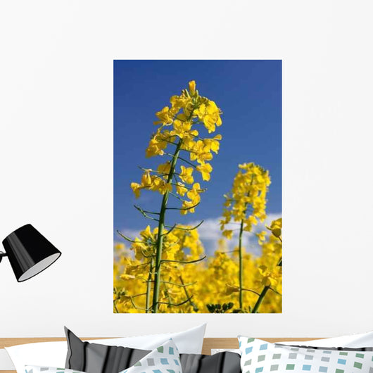 Rapsbl Ten Rapsfeld Wall Decal