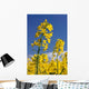 Rapsbl Ten Rapsfeld Wall Decal