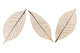 three leaves Wall Decal