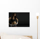 sexy brunette fitness Wall Mural