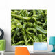 Green chilli peppers;Lhasa xizang china Wall Mural
