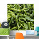 Green chilli peppers;Lhasa xizang china Wall Mural