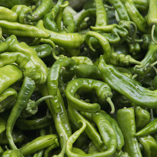 Green chilli peppers;Lhasa xizang china Wall Mural