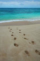 Footprints Tropical Beach Wall Decal Design 2