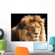 Lion Head Wall Mural