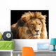 Lion Head Wall Mural