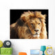 Lion Head Wall Mural