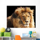 Lion Head Wall Mural