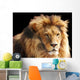Lion Head Wall Mural