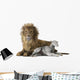 Lion and Lamb
