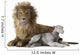 Lion and Lamb