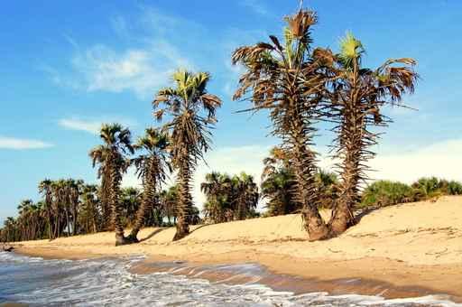Rivage Africain Sous Le Wall Decal