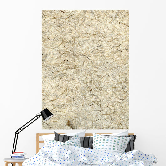 Rough Beige Texture Wall Mural