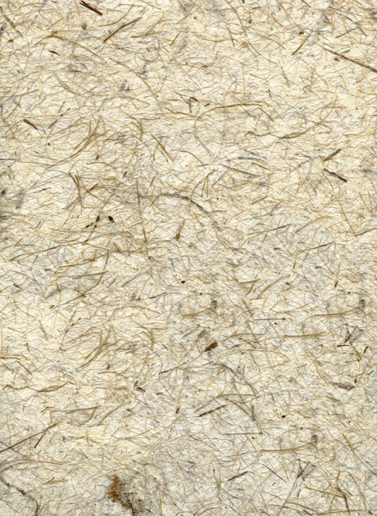Rough Beige Texture Wall Mural