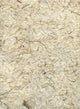 Rough Beige Texture Wall Mural