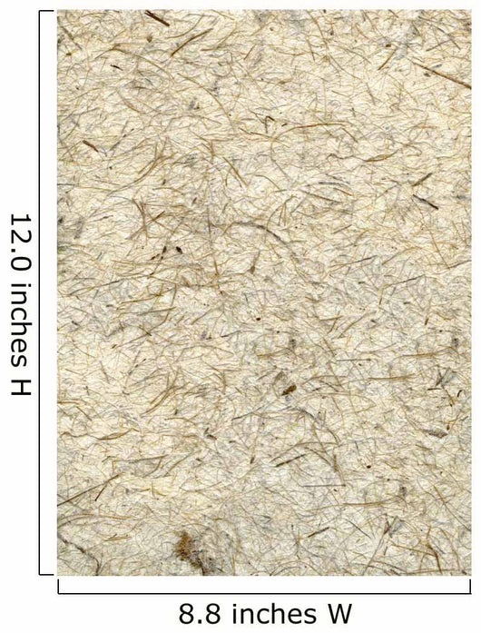 Rough Beige Texture Wall Mural